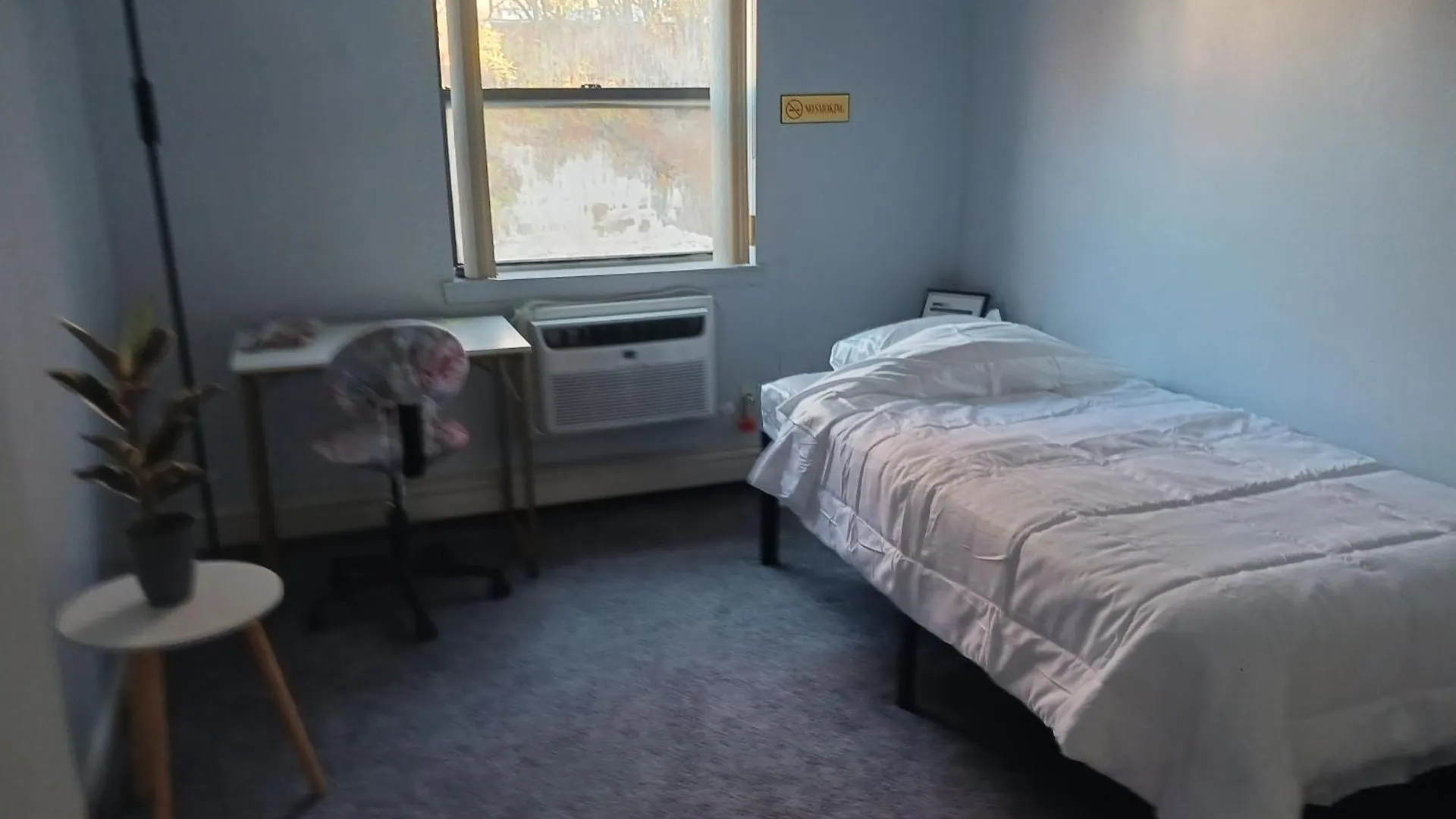 Comfy Cat Lover'S Room In Fresh Meadows New York 0*,