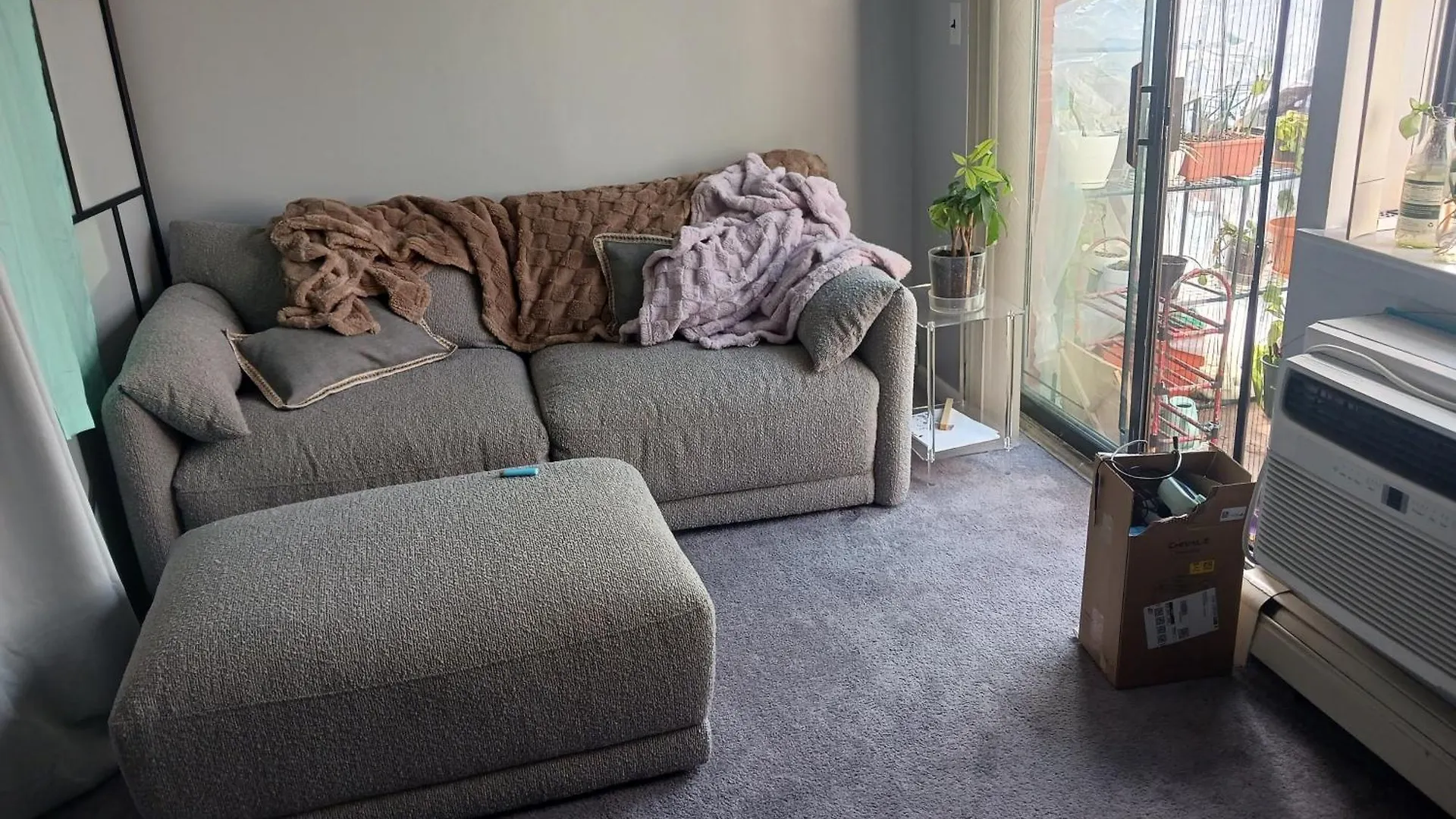 Comfy Cat Lover\'S Room In Fresh Meadows location